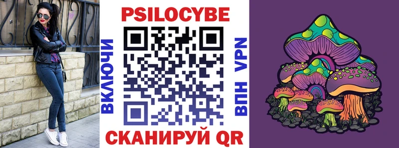 Купить закладки  Динская  Псилоцибиновые грибы GOLDEN TEACHER